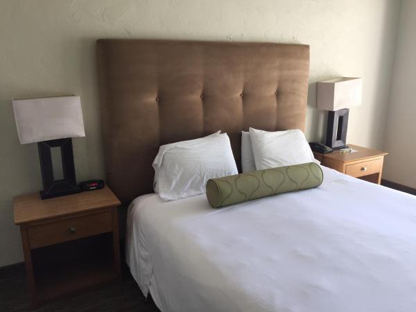 Surfer Beach Hotel : photo 4 de la chambre chambre lit king-size