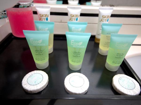 White Fort Hotel : photo 8 de la chambre chambre double ou lits jumeaux standard