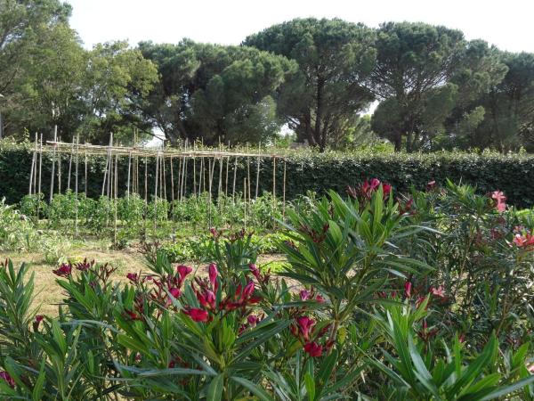 Chambres d'hôtes Villa Alizé : photo 8 de la chambre chambre double