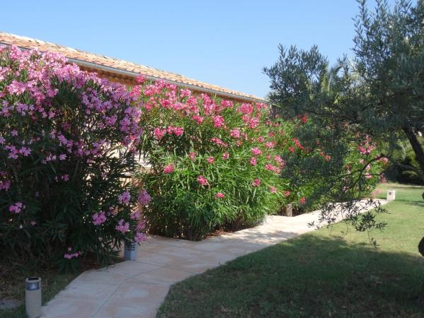 Chambres d'hôtes Villa Alizé : photo 2 de la chambre chambre double