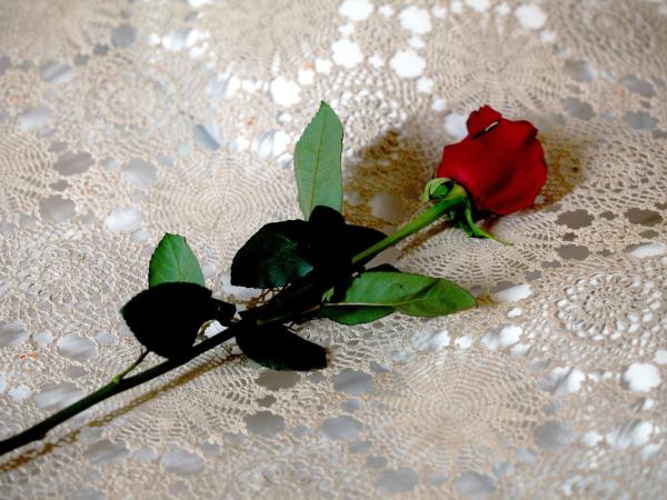 Hotel Villa Il Castagno : photo 6 de la chambre chambre double