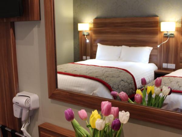 Sligo Southern Hotel & Leisure Centre : photo 1 de la chambre chambre double standard