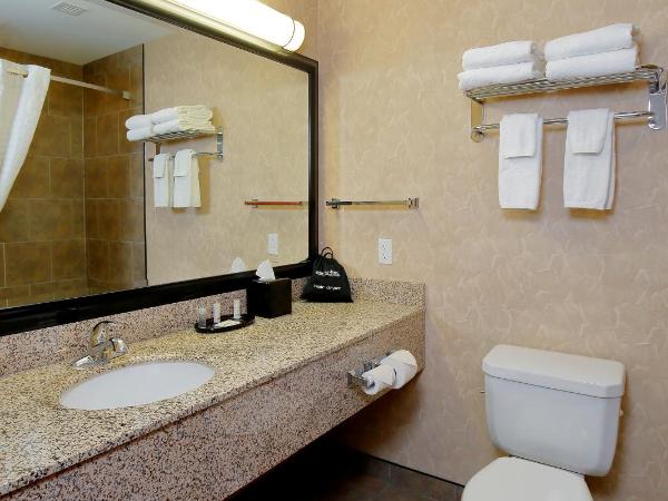 Best Western Blairmore : photo 2 de la chambre chambre avec 2 grands lits queen-size 