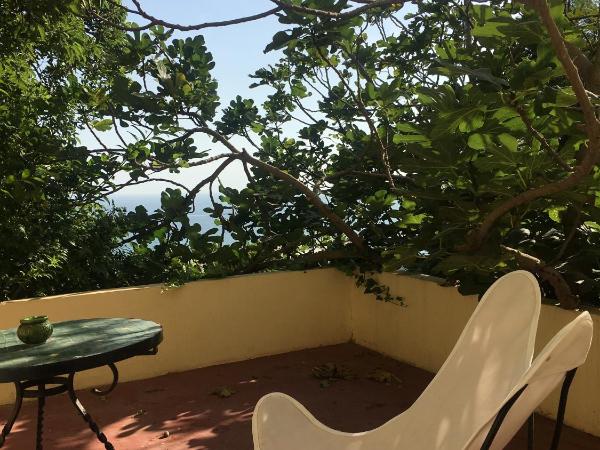 Aux 3 Portes : photo 2 de la chambre studio avec vue sur jardin