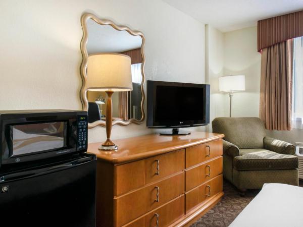 Quality Inn & Suites Near the Theme Parks : photo 2 de la chambre chambre lit king-size
