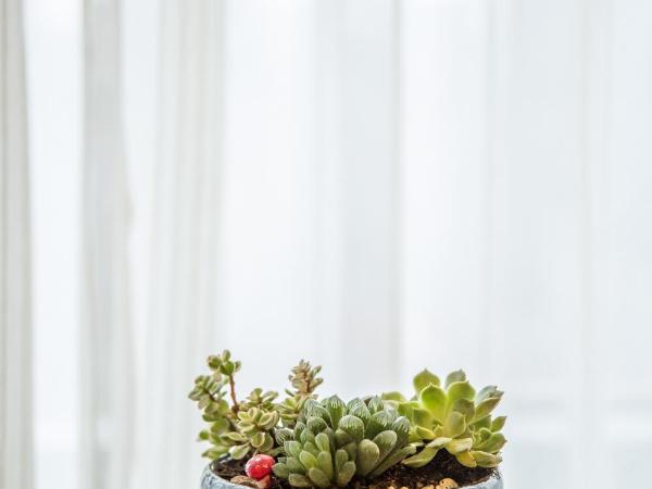 Novo Hotel Chongqing : photo 6 de la chambre chambre lits jumeaux supérieure