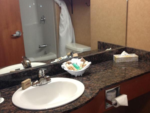 Rosslyn Inn & Suites : photo 8 de la chambre chambre lit queen-size exécutive - nouveau bâtiment