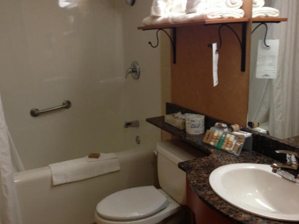 Rosslyn Inn & Suites : photo 9 de la chambre chambre exécutive avec 2 lits queen-size