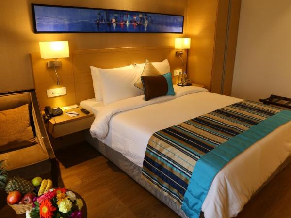 Sarovar Portico Rivera Ahmedabad : photo 2 de la chambre superior double or twin room (15% discount on food and soft beverage)