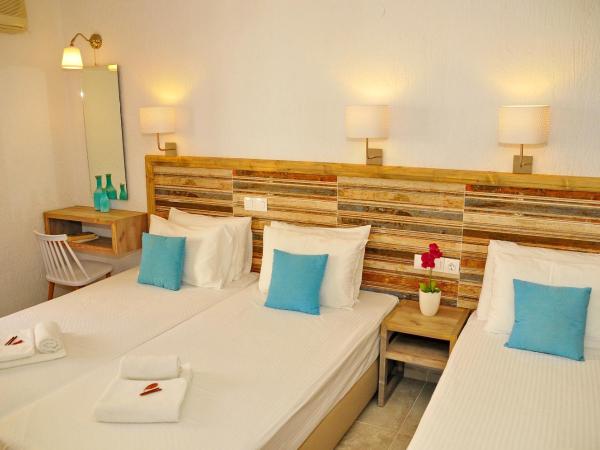 Cleopatra Apartments : photo 5 de la chambre studio