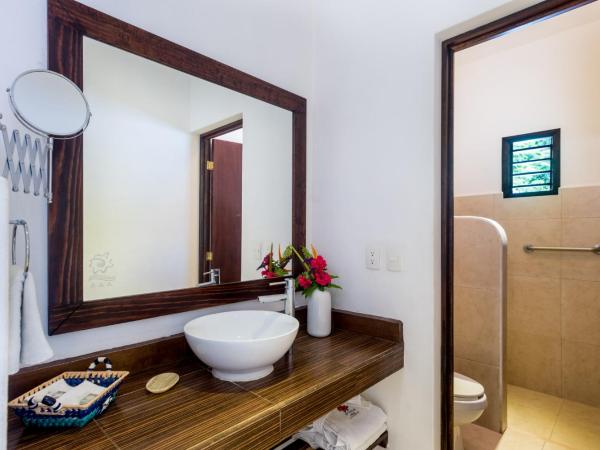 Villas El Encanto Cozumel : photo 6 de la chambre suite de luxe avec piscine privée