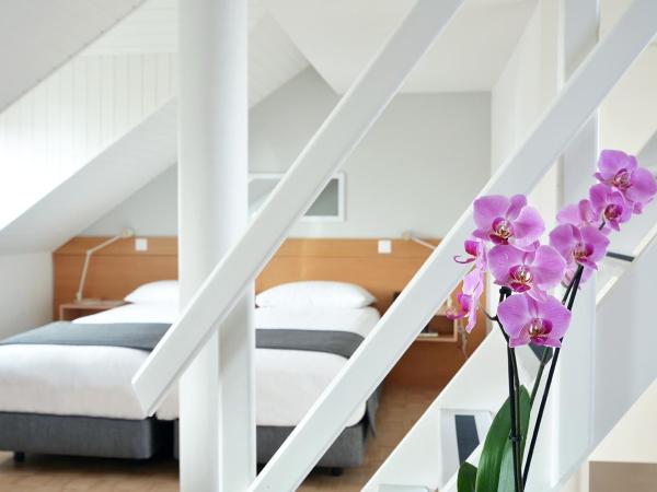 Hotel des Alpes : photo 8 de la chambre studio duplex avec terrasse