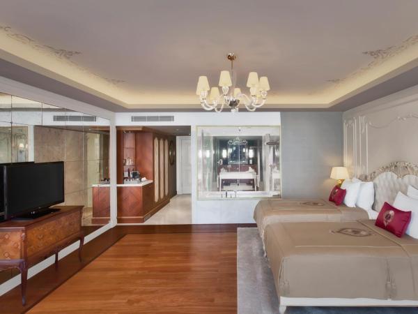 CVK Park Bosphorus Hotel Istanbul : photo 1 de la chambre chambre double ou lits jumeaux exécutive - vue sur ville