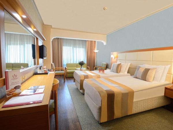 Akgun Istanbul Hotel : photo 4 de la chambre chambre double deluxe