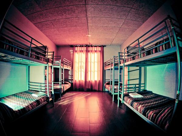 Be Zaragoza Hostel : photo 1 de la chambre 1 lit dans 1 dortoir de 10 lits