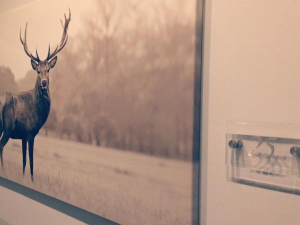 Hotel Heddernheimer Hof : photo 6 de la chambre chambre simple Économique