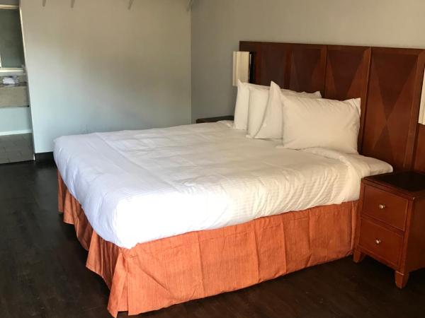 Extend-a-Suites Phoenix : photo 2 de la chambre chambre lit king-size supérieure