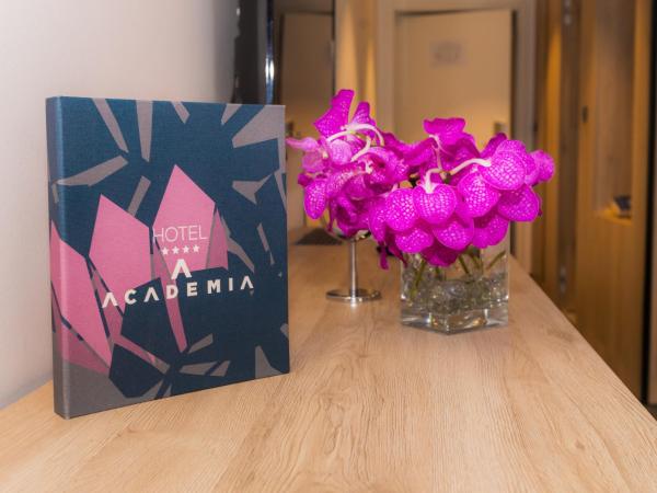 Hotel Academia : photo 9 de la chambre chambre double