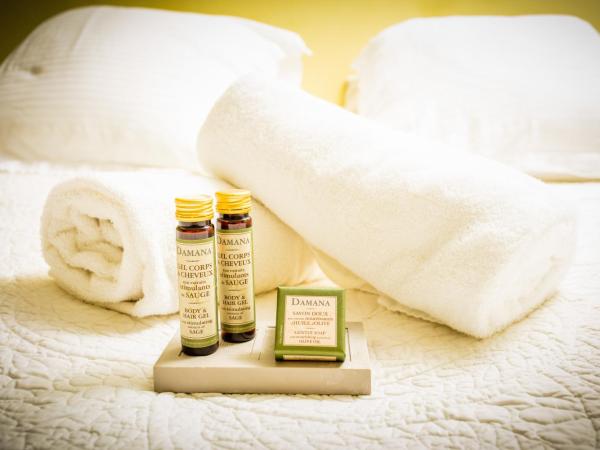 Château le Bouïs : photo 7 de la chambre chambre double ou lits jumeaux de luxe - vue sur parc