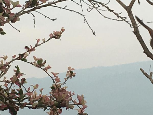 Baan Thalang @ Chiang Mai : photo 1 de la chambre chambre familiale supérieure