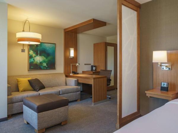 Hyatt Place Houston Galleria : photo 1 de la chambre suite 1 chambre avec canapé-lit