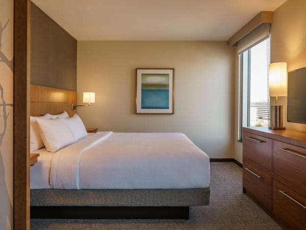 Hyatt Place Houston Galleria : photo 1 de la chambre chambre lit king-size avec canapé-lit