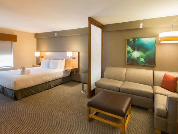 Hyatt Place Orlando/Lake Buena Vista : photo 3 de la chambre chambre lit king-size avec canapé-lit