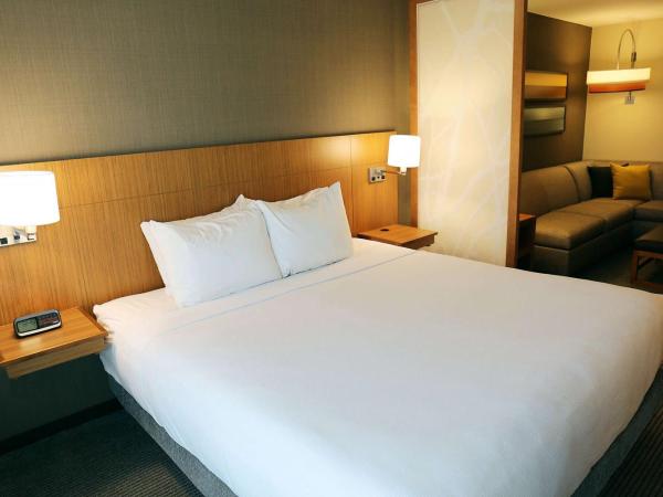 Hyatt Place Austin Airport : photo 2 de la chambre chambre lit king-size standard