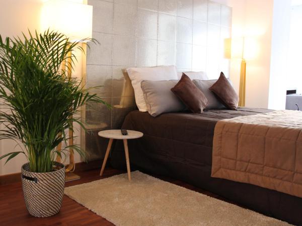 Résidence et Chambres d'Hôtes de La Porte d'Arras : photo 9 de la chambre appartement supérieur