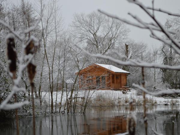 Acorn Glade Glamping : photo 3 de la chambre bluebell log cabin