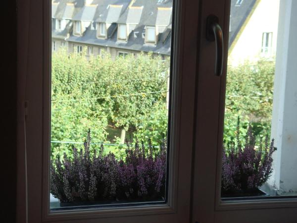 B&B Maison Angélus : photo 10 de la chambre chambre double supérieure avec cheminée