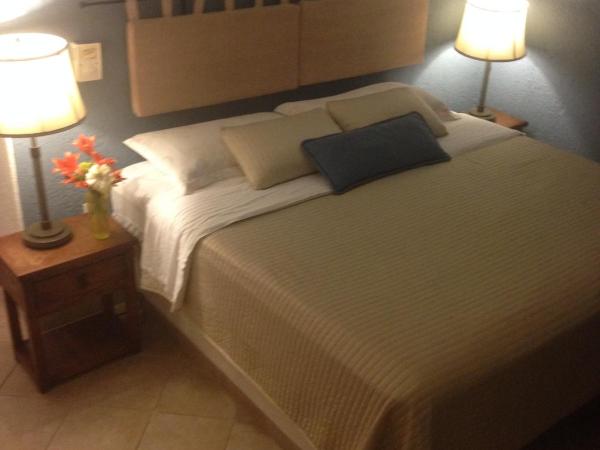 Villa Escondida Guest House Cozumel Downtown : photo 8 de la chambre chambre lit king-size