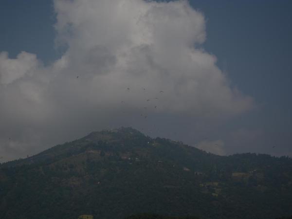 Pokhara Youth Hostel : photo 3 de la chambre chambre triple basique