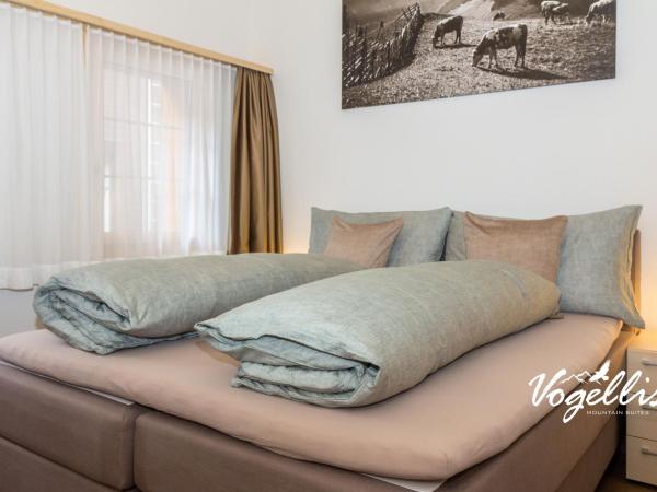 Hotel Bären : photo 3 de la chambre appartement 2 chambres - annexe