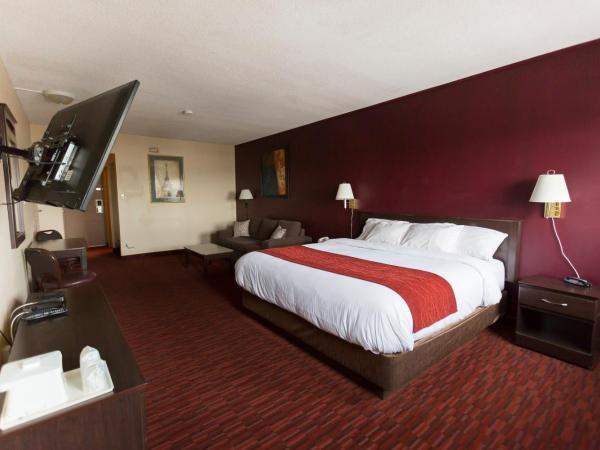 Argyll Plaza Hotel : photo 3 de la chambre chambre lit king-size