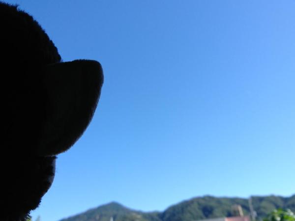 Yadoya Lodge : photo 9 de la chambre chambre familiale - vue sur montagne