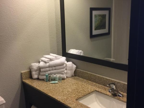 Wyndham Garden Hotel - Jacksonville : photo 1 de la chambre chambre de luxe avec 2 lits doubles