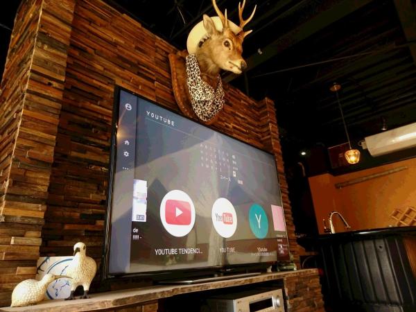 Yadoya Lodge : photo 6 de la chambre suite junior