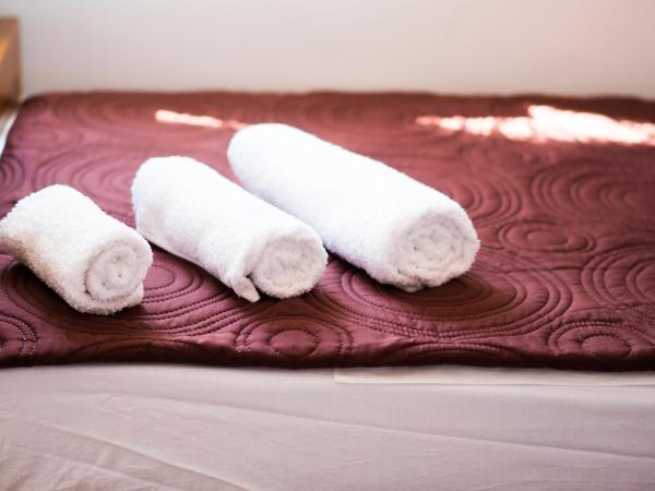 Hostel Vincentinum : photo 4 de la chambre chambre double ou lits jumeaux avec salle de bains privative