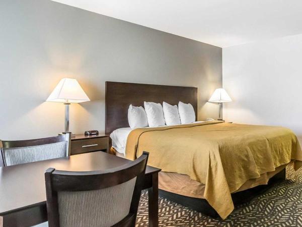 Quality Inn & Suites University-Airport : photo 2 de la chambre chambre lit king-size