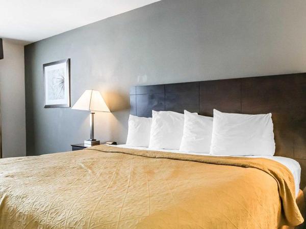 Quality Inn & Suites University-Airport : photo 3 de la chambre chambre lit king-size