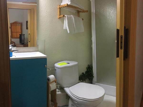 Pensión Leyre : photo 9 de la chambre chambre double ou lits jumeaux avec salle de bains privative