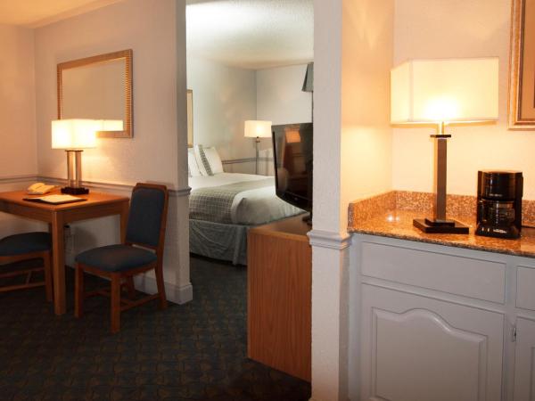 Comfort Inn Savannah : photo 1 de la chambre suite lit king-size