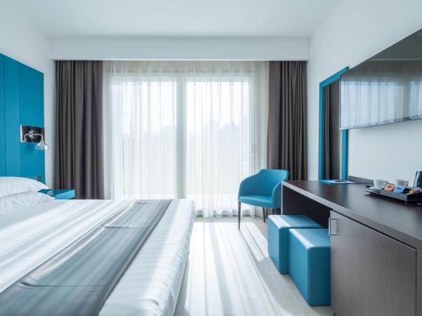 Hotel Brandoli : photo 4 de la chambre chambre double supérieure avec terrasse