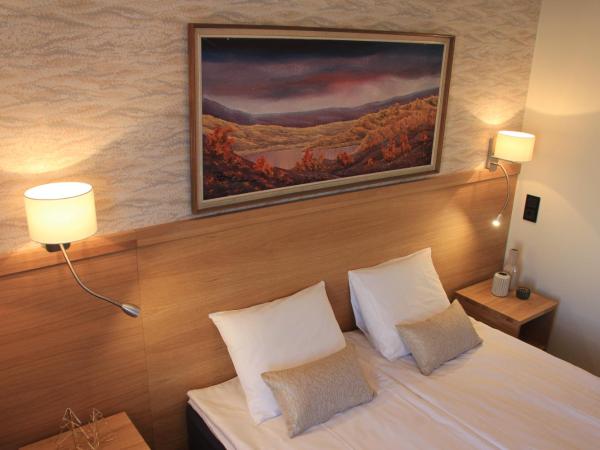 Hotel Aakenus : photo 5 de la chambre chambre lits jumeaux