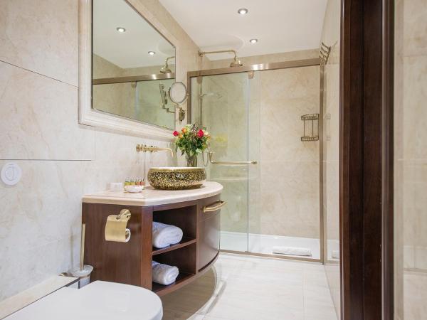 The George Street Hotel : photo 3 de la chambre chambre double ou lits jumeaux standard (chambre calme sans fenêtre)