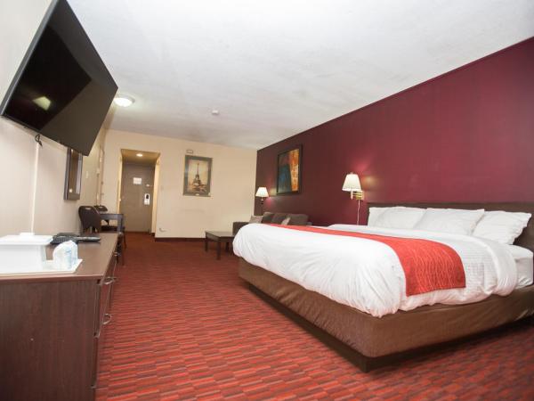 Argyll Plaza Hotel : photo 1 de la chambre chambre lit king-size