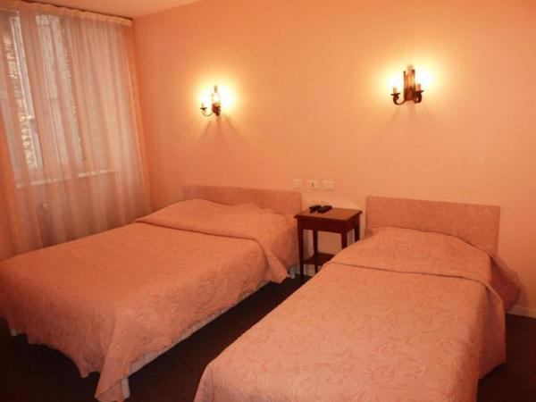 Hôtel Restaurant du Pont-Vieux : photo 1 de la chambre chambre lits jumeaux