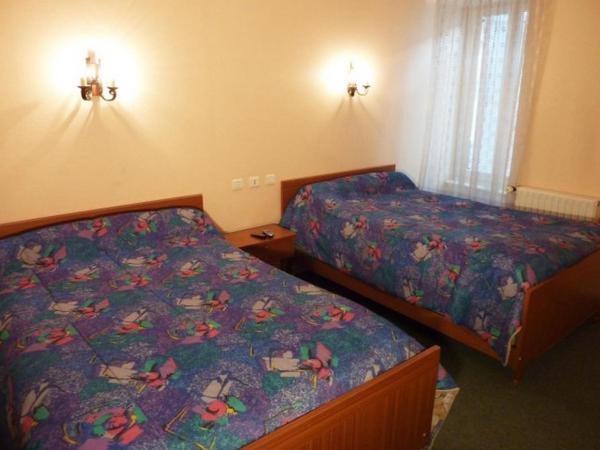 Hôtel Restaurant du Pont-Vieux : photo 2 de la chambre chambre lits jumeaux