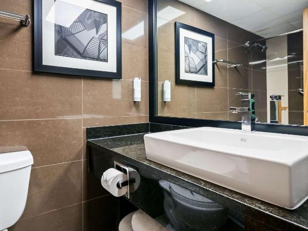 Best Western Plus Village Park Inn : photo 4 de la chambre chambre lit king-size - non-fumeurs